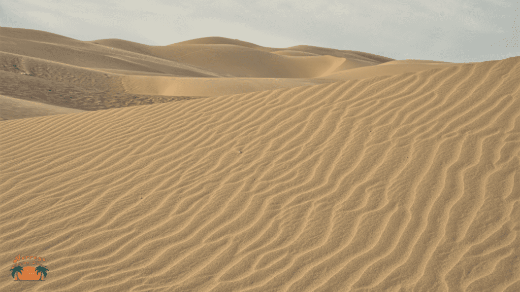an image of sand dunes in the desert